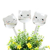Cat Self Watering Globes - 3PCS