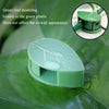 Multifunctional Plant Climbing Holder