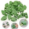 Multifunctional Plant Climbing Holder