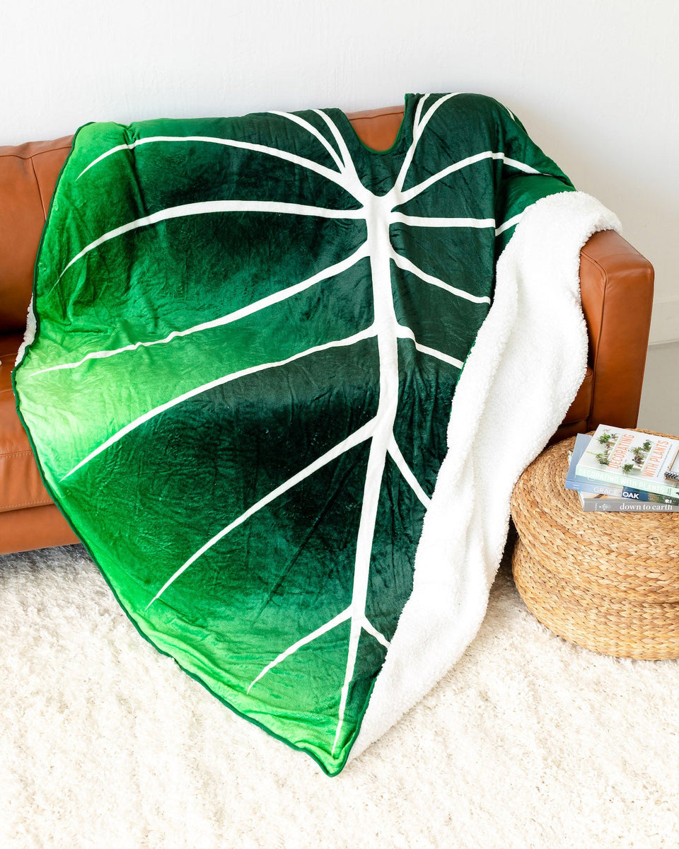 Silky Philodendron Blanket