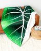 Silky Philodendron Blanket